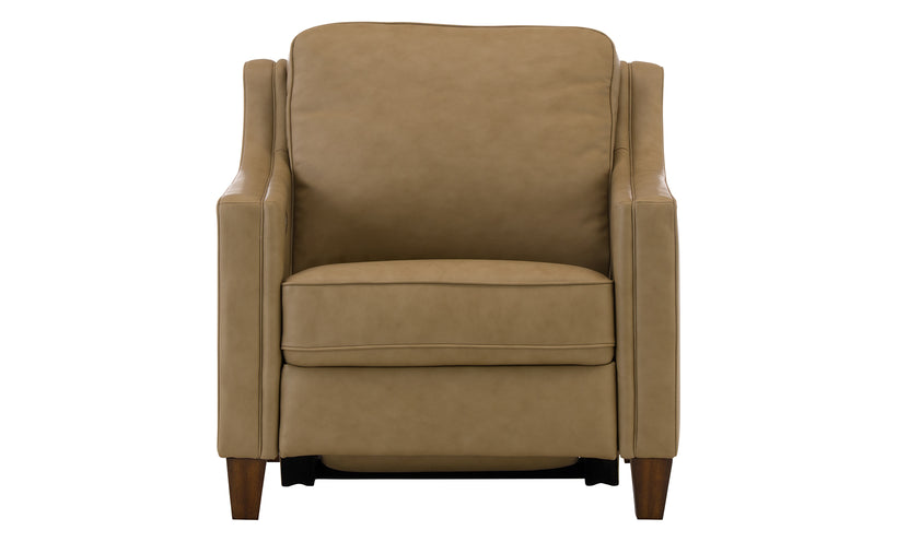 Finley Leather Power Recliner